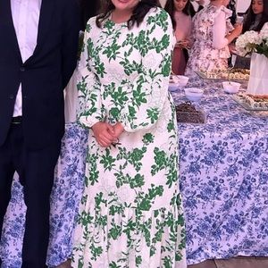 Gorgeous green and white Veiled New York dress
